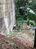 Peponi Road Boundary Wall, Structural Assessment